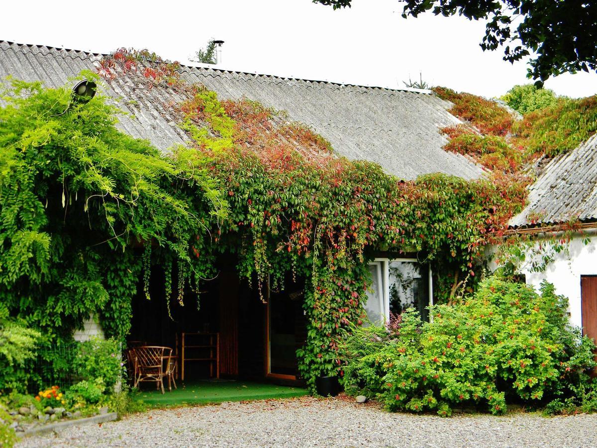 Zakatek Pod Grusza Villa Bedzino Bagian luar foto